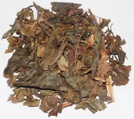 腫節(jié)風(fēng)(草珊瑚) SARCANDRAE HERBA