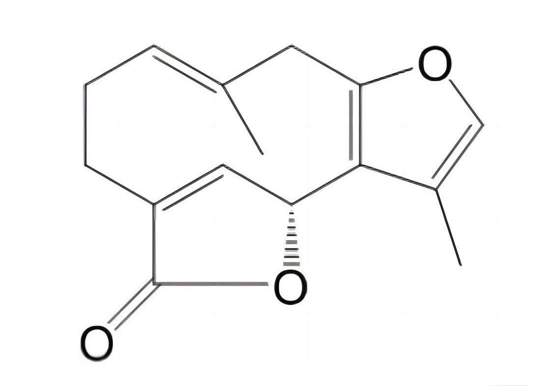 釣樟內(nèi)酯|728-61-0